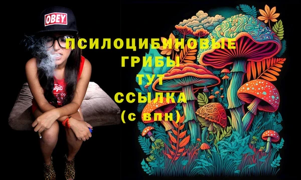 мдпв Верхний Тагил