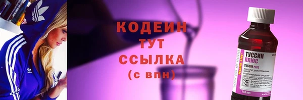 мдпв Верхний Тагил