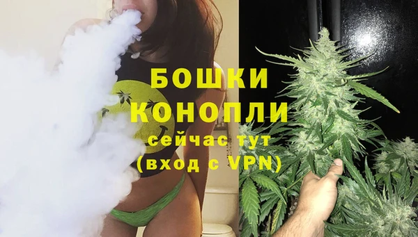 мдпв Верхний Тагил