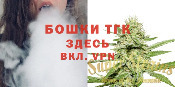 мдпв Верхний Тагил